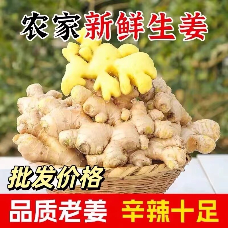 2025正宗新鲜黄生姜老姜5斤现挖高山沙姜土姜种子蔬菜月子姜