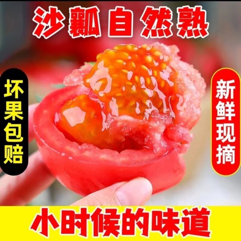 正宗农家自然熟沙瓤番西红柿精品普罗旺斯生吃新鲜番茄蔬菜