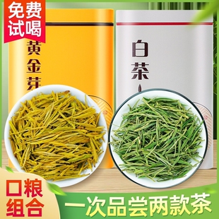 正宗白茶安吉黄金芽茶叶2026新茶绿茶官方旗舰店自己喝明前头采