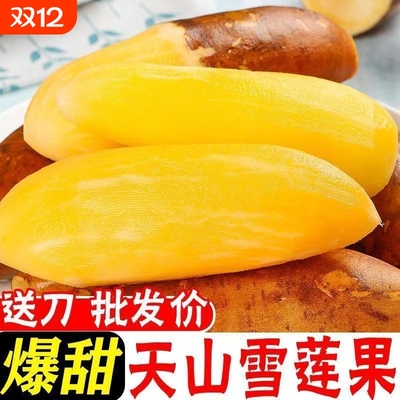 天山雪莲果脆甜黄心黄心脆甜多汁新鲜应季水果