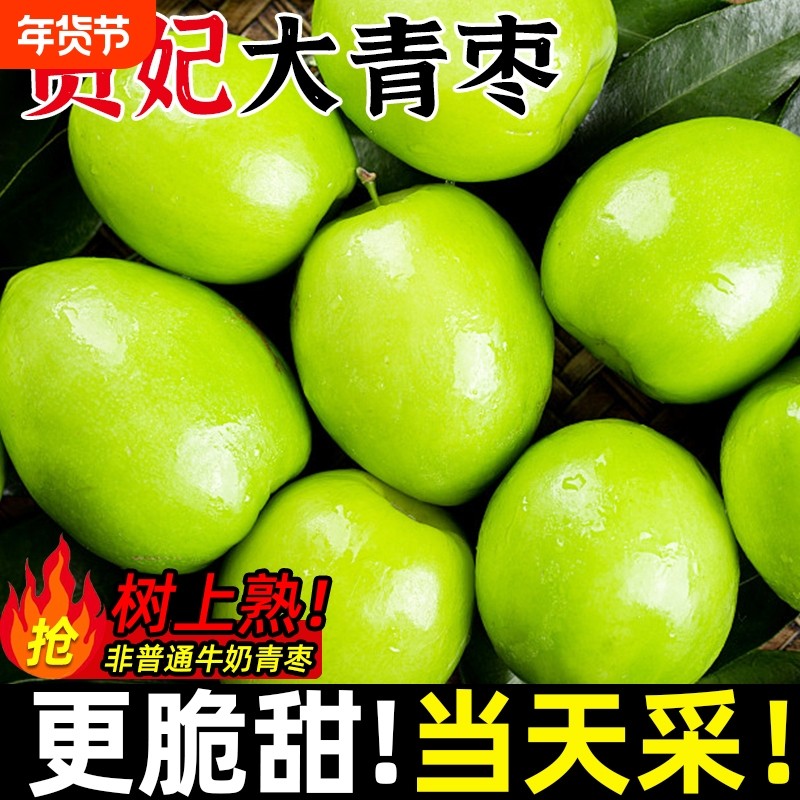 【非普通牛奶枣】福建贵妃枣大青枣牛奶新鲜水果当季整箱脆枣冬枣