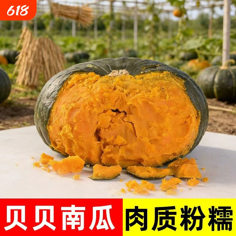 正宗贝贝南瓜迷你小板栗南瓜真贝贝南瓜宝宝辅食软糯香甜