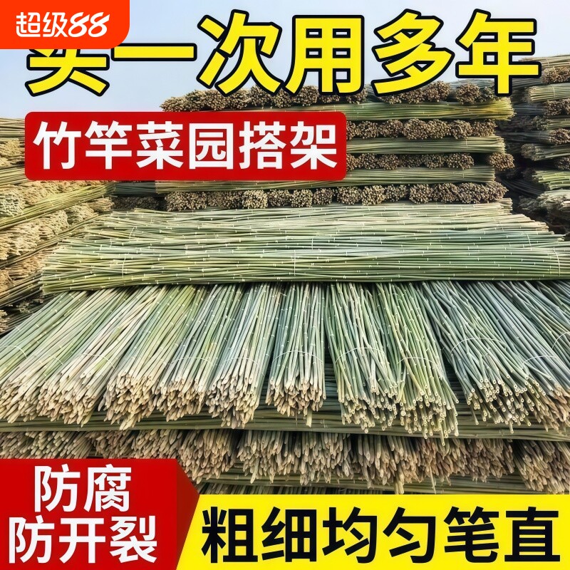 小竹杆爬藤架竹竿菜园搭架豆角竹篱笆彩旗竹竿子花架围栏竹子黄瓜