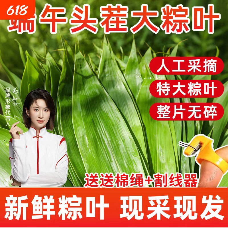 粽叶新鲜粽子叶大号真空家用商用竹叶包粽子专用粽叶干特大非芦苇