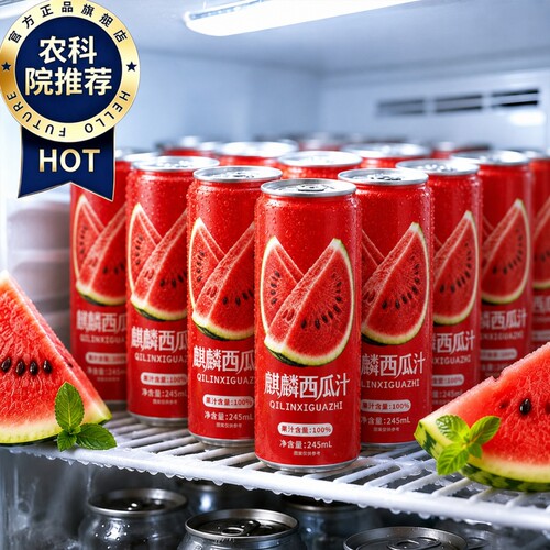 冰镇西瓜汁鲜榨非麒麟瓜