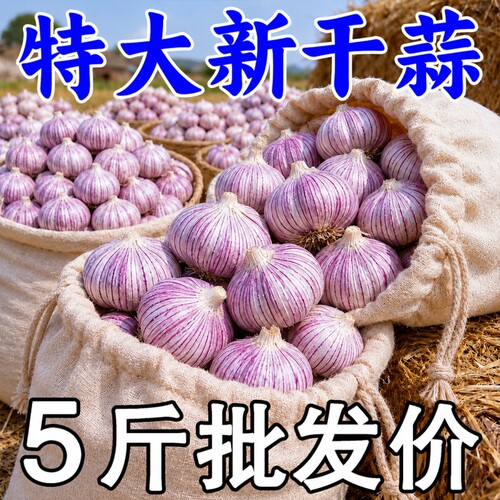 2026年新鲜山东金乡紫皮大蒜头特大干蒜5斤多瓣农家蔬菜批发新蒜