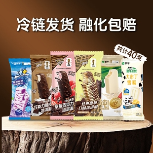 蒙牛随变经典 香草迷你草莓牛乳蓝莓牛奶大布丁雪糕冰淇淋 40支