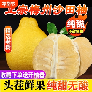 正宗梅州沙田柚柚子广东金柚白心肉孕妇新鲜现摘当季水果纯甜