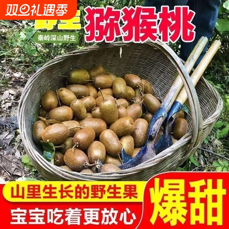 秦岭山区纯野生猕猴桃新鲜现摘孕妇水果奇异果绿心猕猴桃超甜
