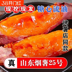 烟薯25号沙地蜜薯糖心红薯小新鲜红皮心烟台农科院烤山芋专用番薯