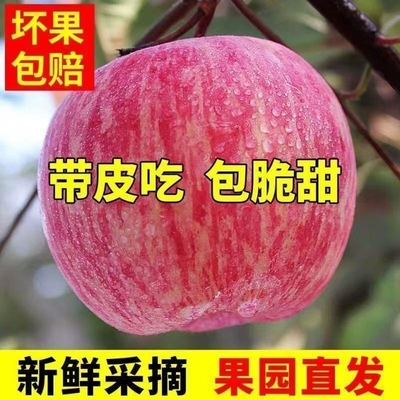 山西特产红富士苹果新鲜水果脆甜冰糖心精选整箱苹果果园自提多汁