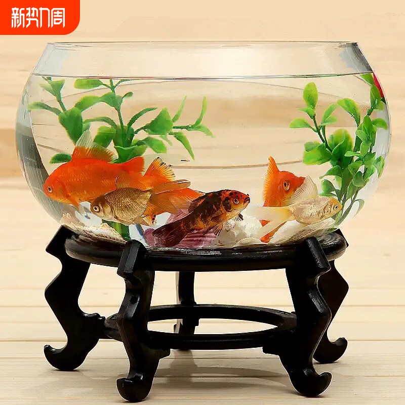 玻璃鱼缸圆形透明大号办公室创意客厅裸缸桌面加厚玻璃鼓缸金鱼缸