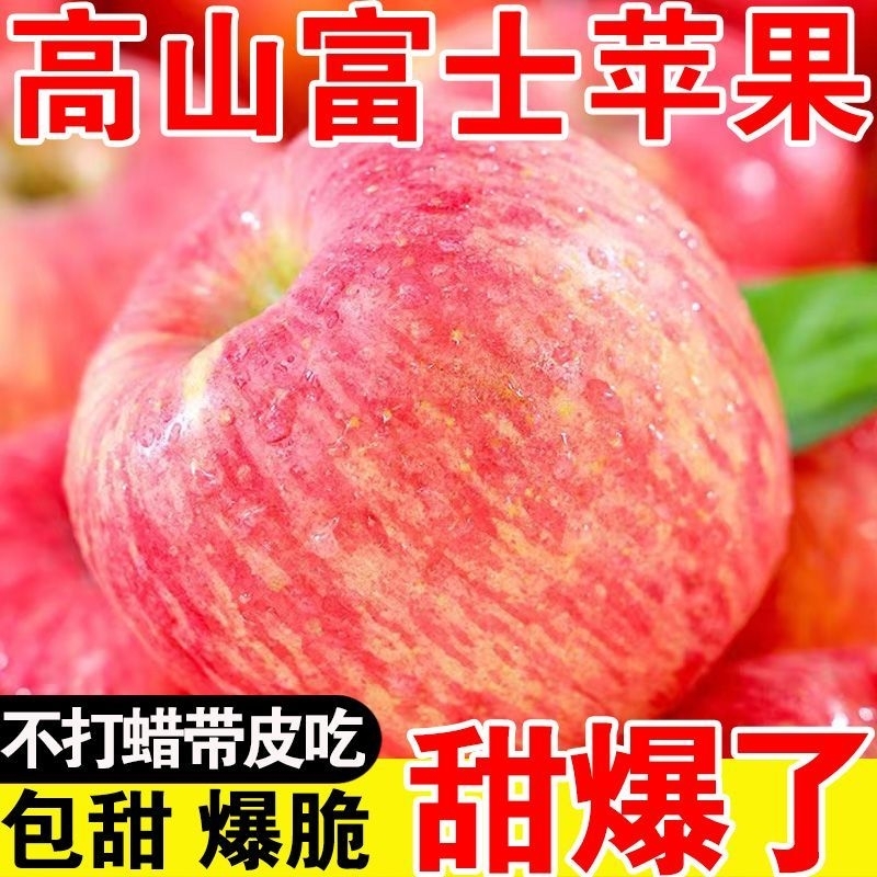 正宗山东烟台红富士苹果产地直发