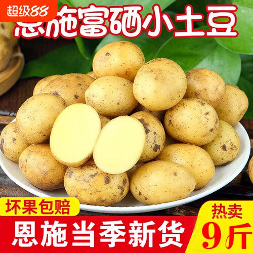 正宗恩施小土豆现挖湖北新鲜黄心土豆当季蔬菜整箱迷你马铃薯洋芋