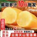 包邮 云南天山雪莲果现挖现发高原脆甜雪中仙果当季 新鲜水果批发