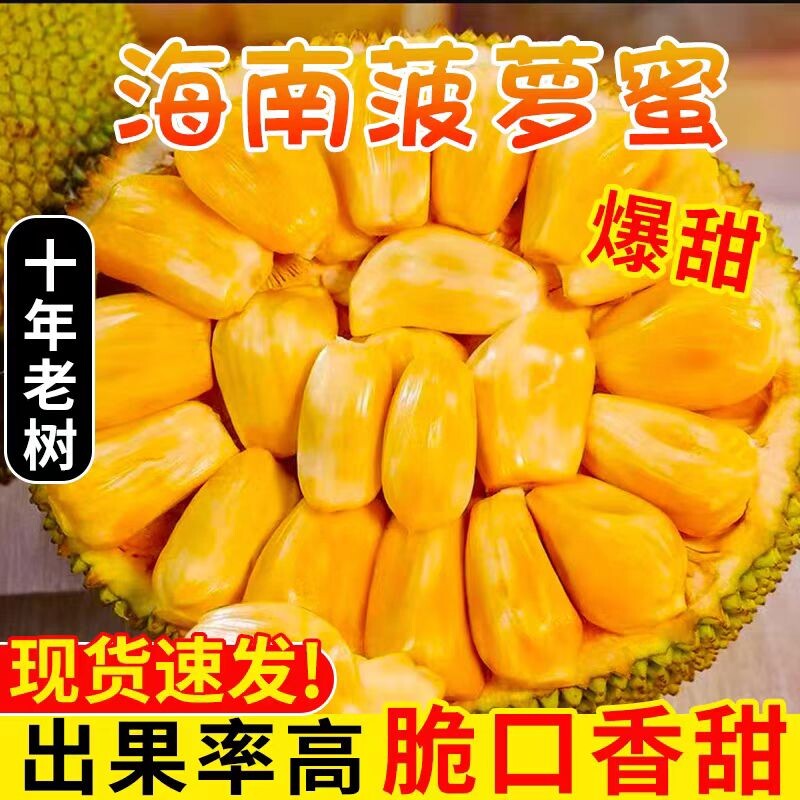 现摘海南菠萝蜜红黄肉木波萝干苞精品当季特产一整个大波罗蜜包邮