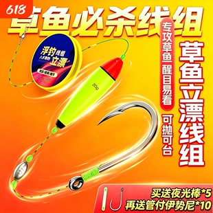 新款二代路亚浮钓草鱼线组手竿海竿成品线组立漂单钩通线