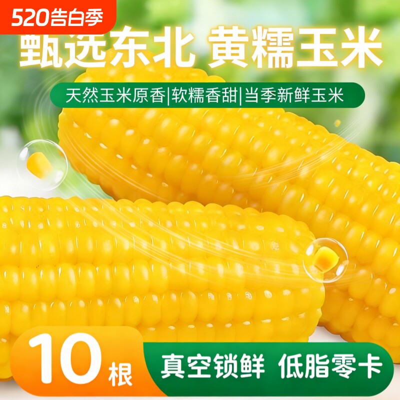东北黄糯玉米非转基因减脂减肥低脂粗粮代餐早餐新鲜糯玉米真空装