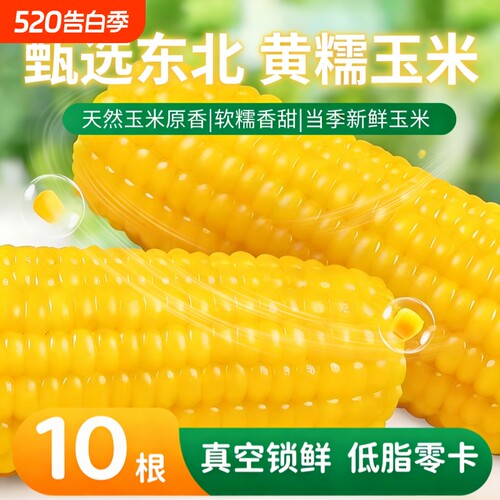 东北黄糯玉米非转基因减脂减肥低脂粗粮代餐早餐新鲜糯玉米真空装