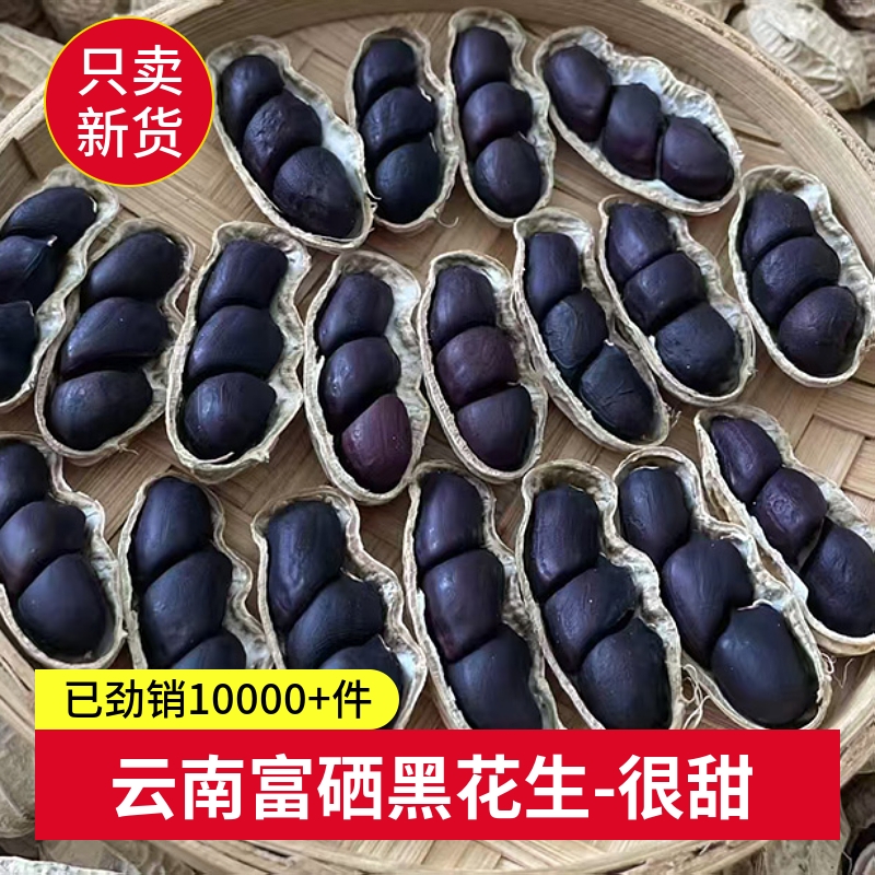 云南黑花生富硒普洱2025新货晒干种带壳黑皮花生米新鲜原味