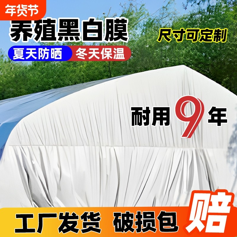 黑白膜养殖防晒加厚大棚专用膜种植家禽反光隔热遮光膜保温鱼池