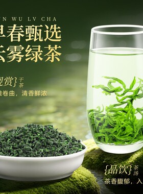 2026新茶云雾绿茶高山特级茶叶栗香日照绿茶散装袋装茶玉露炒青