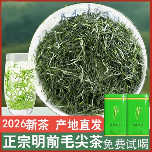 信阳毛尖2026新茶明前嫩芽高山茶