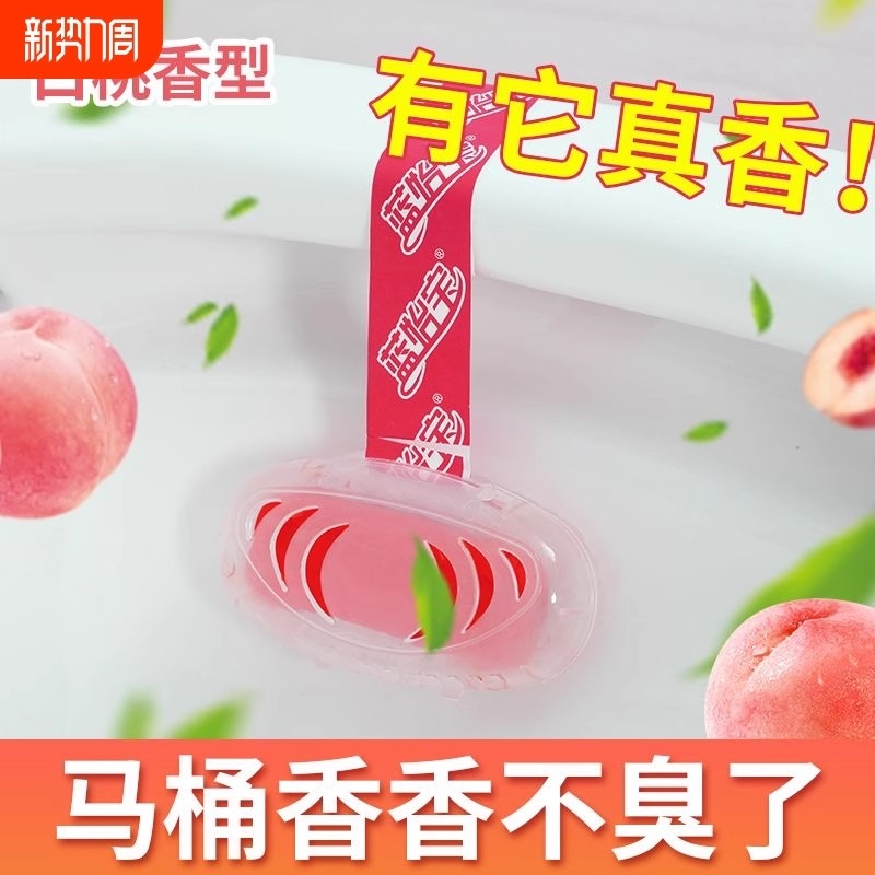 蓝怡宝马桶挂篮无水箱厕所除臭去除异味悬挂式洁厕神器马桶清洁剂