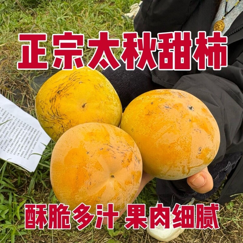 花纹正宗太秋脆柿糖纹太秋正宗大秋脆柿脆柿糖心甜柿大果应季水果