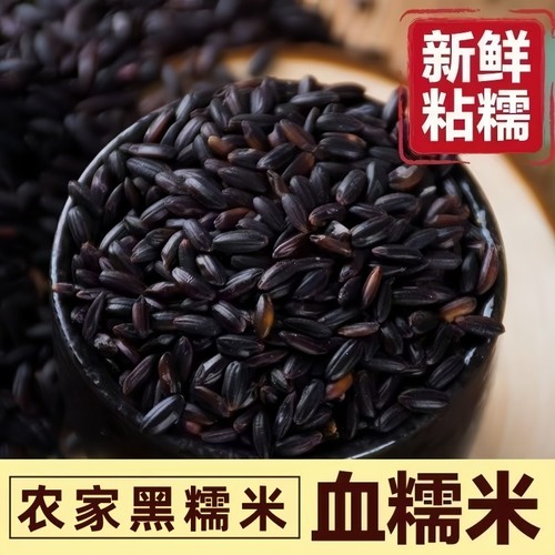新货黑糯米多规格血糯米粘米农家黑米粥黑香米紫米农家自产袋装