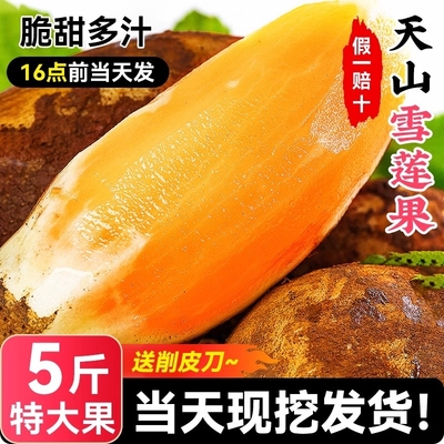 雪莲果9斤当季脆甜整箱