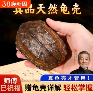 天然真乌龟壳龟甲文玩六爻摇卦工具周易64卦牌铜钱把玩件摆件桌面