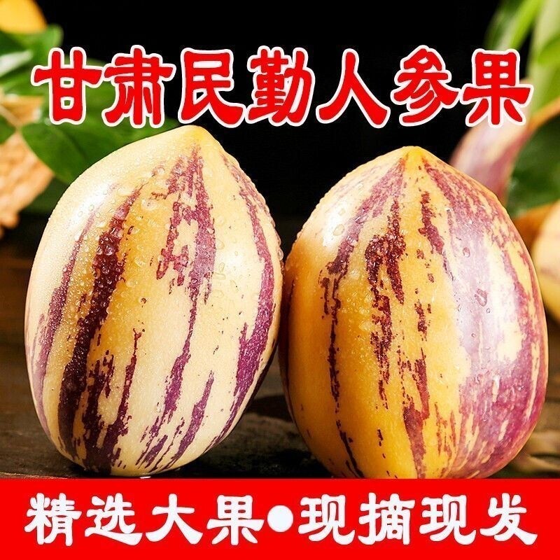 甘肃民勤人参果大果当季新鲜孕妇水果沙漠黄肉特级人生果现摘现发