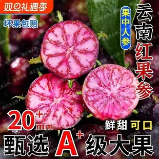 顺丰包邮稀有大果云南新鲜水果红果参蜘蛛果蓝莓参果特色