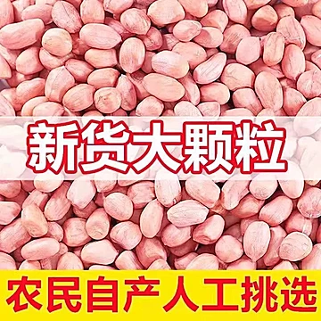 礼金+金币10.9！白沙花生米500g*2袋