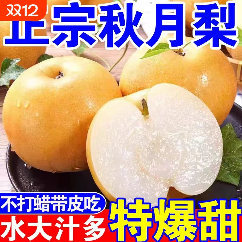正宗秋月梨新鲜冰糖梨子当季水果生梨现摘现发整箱非礼盒包邮甜