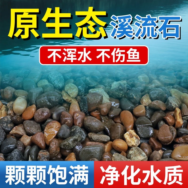 天然溪流石鹅卵石原生水族鱼缸水草缸多肉铺面小石子过滤豆石河砂