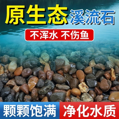 天然溪流石鹅卵石原生水族鱼缸水草缸多肉铺面小石子过滤豆石河砂