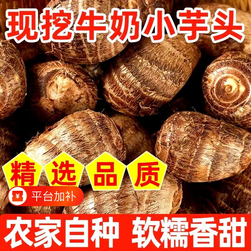 正宗云南小芋头牛奶小香芋2026新鲜白芽小奶芋农家毛芋头软糯艿芋