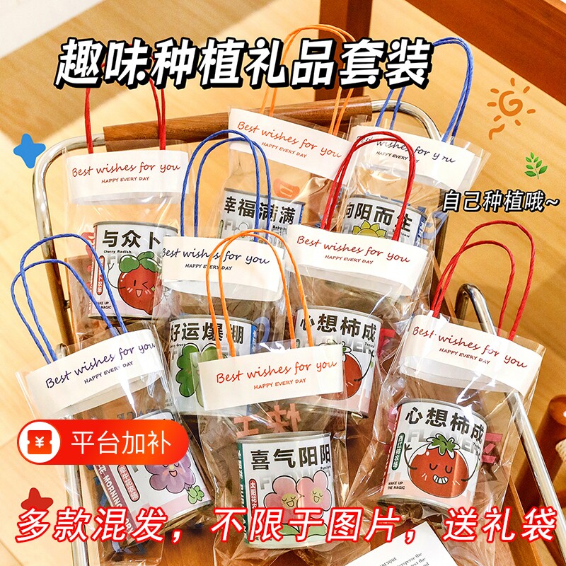 学生小礼品盲盒奖励实用DIY植物种植小盆栽伴手儿童奖品礼物生日