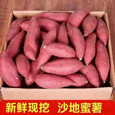 现挖蜜薯番薯地瓜红薯新鲜龙九黄心沙地山芋正宗批发软糯香甜蜜