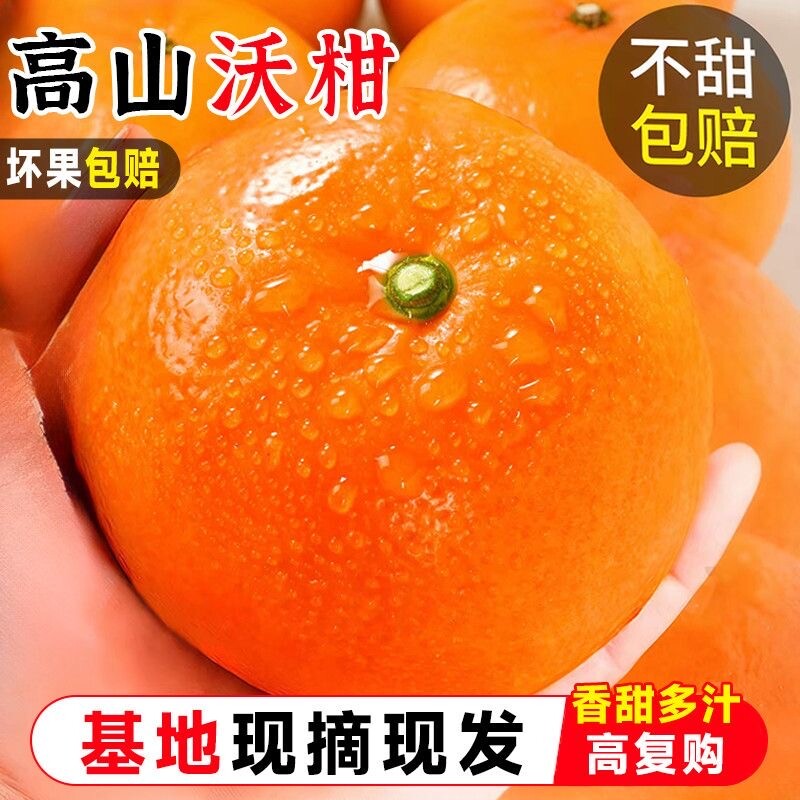沃柑5斤新鲜橘子水果当季沙糖砂糖柑橘大果整箱好吃现在现摘优选