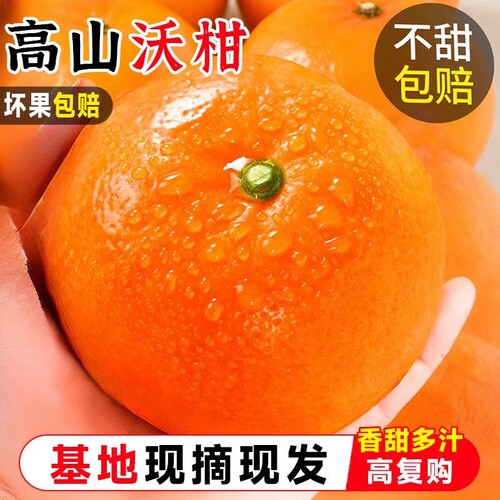 沃柑5斤新鲜橘子水果当季沙糖砂糖柑橘大果整箱好吃现在现摘优选