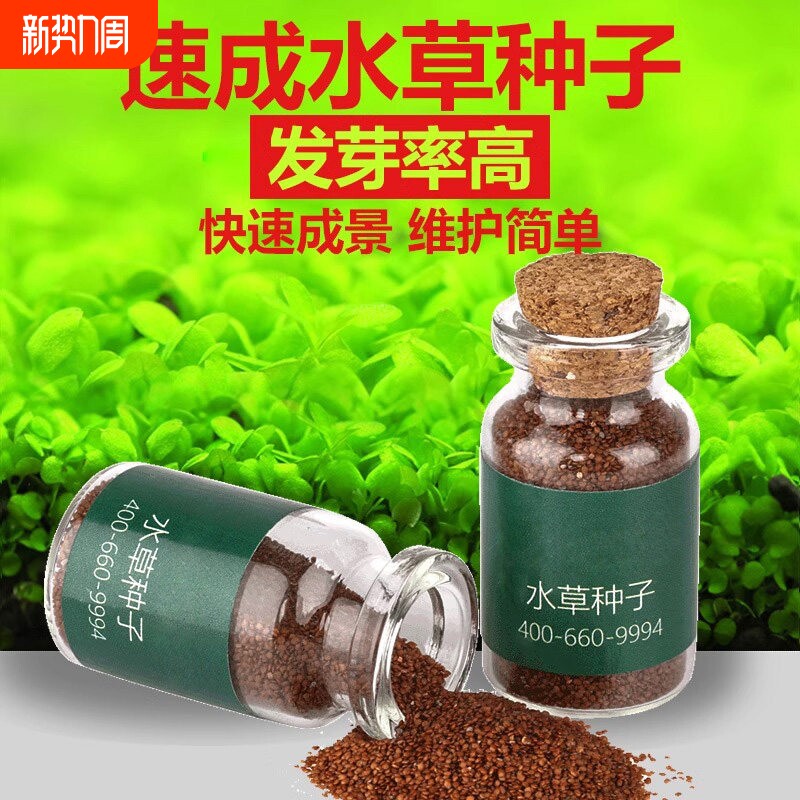 水草种子鱼缸水草籽活植物草缸造景套餐真草阴性水草孑牛毛草种子