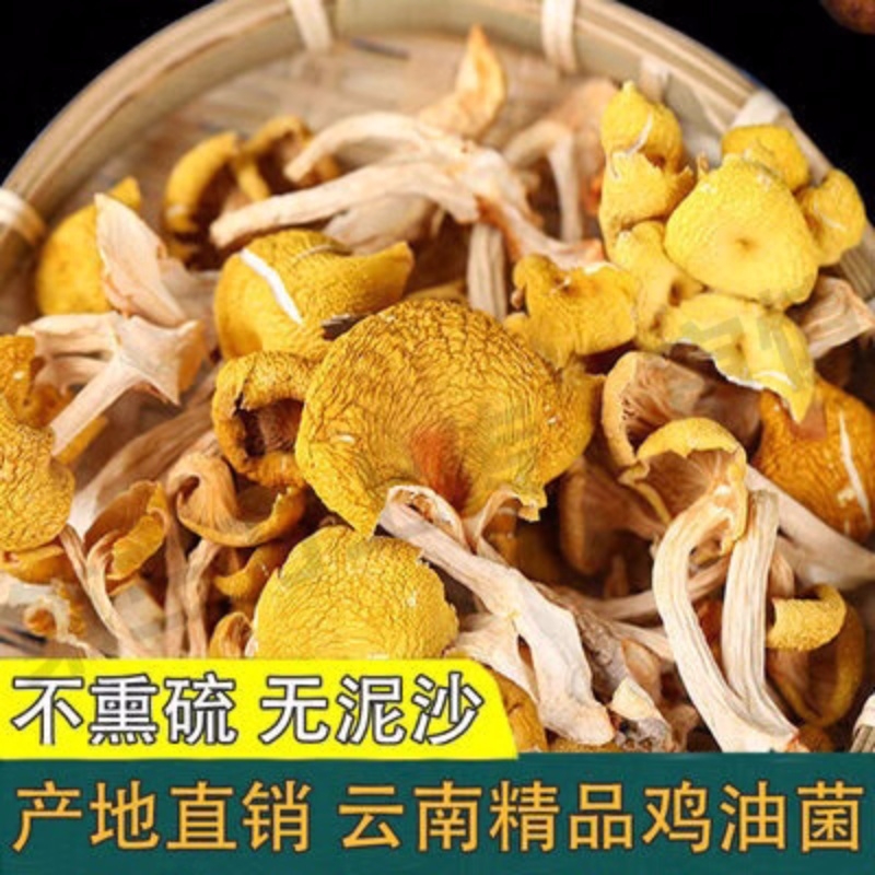 雞油菌干貨農(nóng)家特產(chǎn)黃金菇榆黃蘑食用菌煲湯食材批發(fā)無(wú)干燥劑香菇