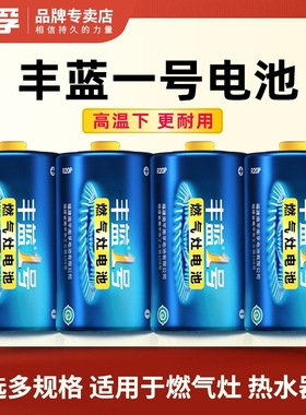 南孚丰蓝1号电池碳性一号大号燃气灶专用热水器煤气灶天然气灶R20p正品D型1.5v液化灶手电筒干电池南浮5号7号