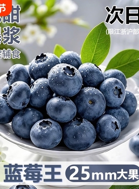云南蓝莓鲜果新鲜高端水果当季怡颗高山L25花香孕妇整箱包邮现摘
