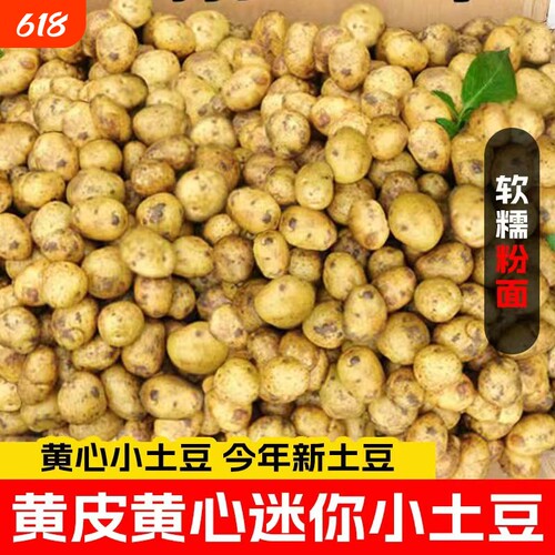 恩施小土豆新鲜马铃薯