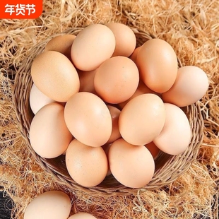 新鲜五谷喂养农家散养鸡蛋营养美味土鸡蛋10-40枚鲜鸡蛋农家散养