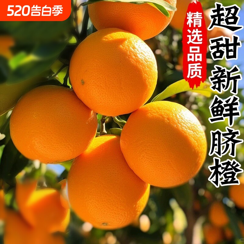 正宗纽荷尔脐橙大果新鲜水果橙子净重湖南特产应季果冻甜橙